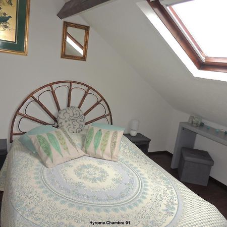 Gite Hyrom 5 Places Moulin De La Placette Faye-d'Anjou Luaran gambar