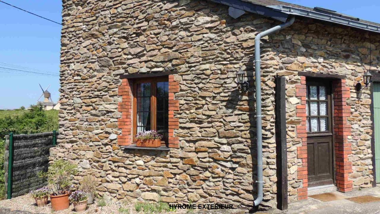 Gite Hyrom 5 Places Moulin De La Placette Faye-d'Anjou Luaran gambar