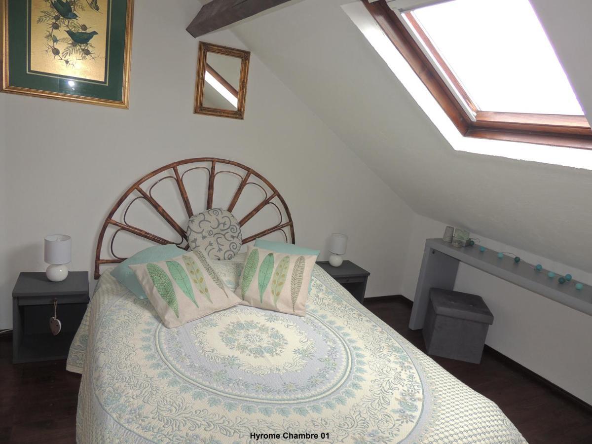 Gite Hyrom 5 Places Moulin De La Placette Faye-d'Anjou Luaran gambar